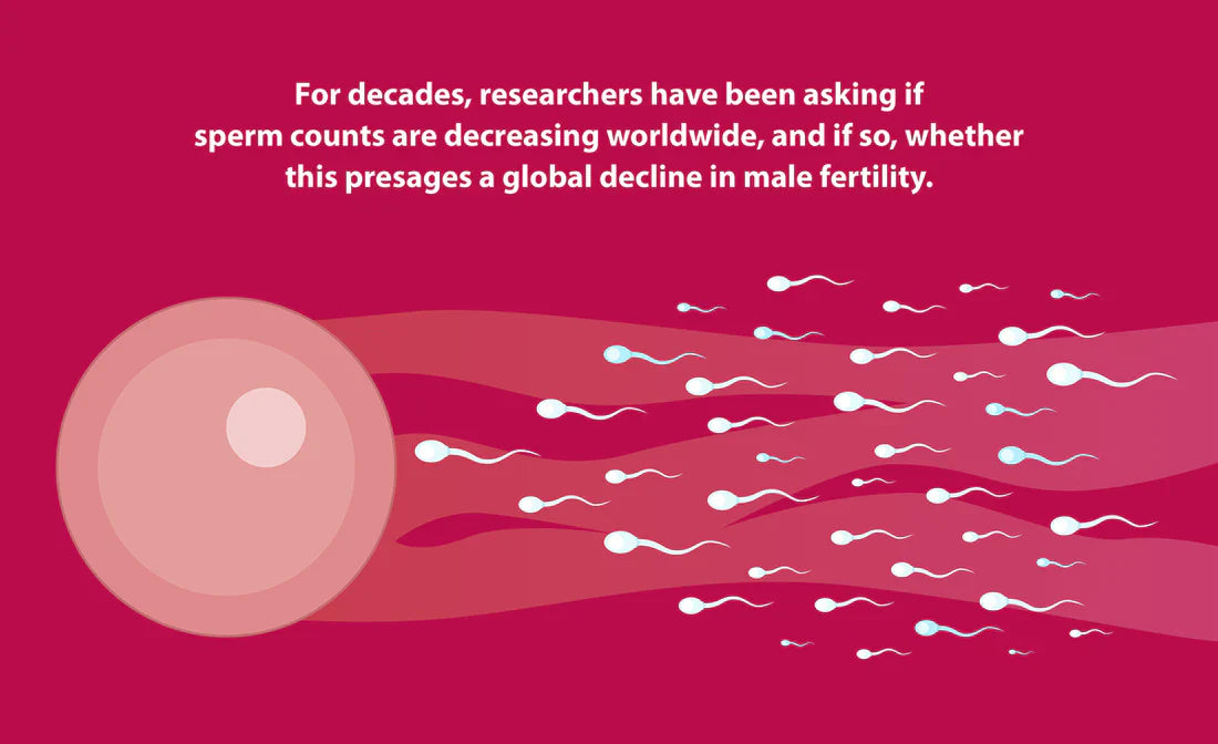 Male sperm count has declined more than 50% in the last 50 years.