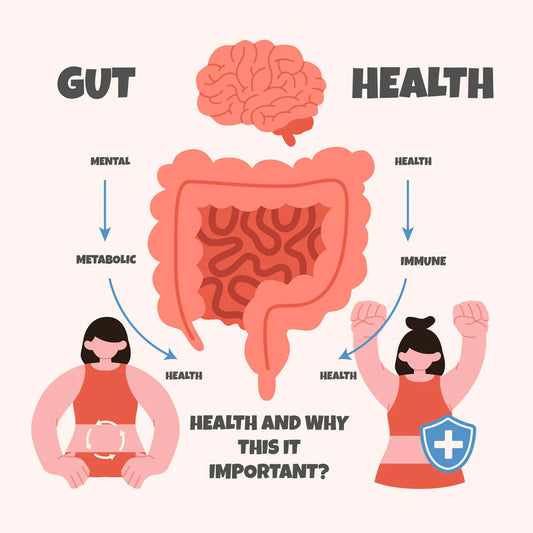 70% of Serotonin Is Made in Your Gut: How Your Gut Health Impacts Mood, Anxiety, Depression, and Focus